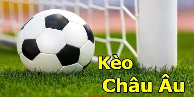 Cách đọc tỷ lệ kèo châu Âu tại Bongdalu