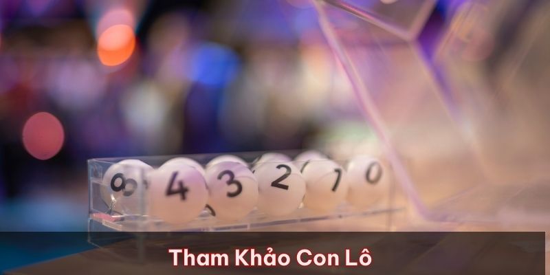 Tham khảo các con lô nên vào tiền ngay